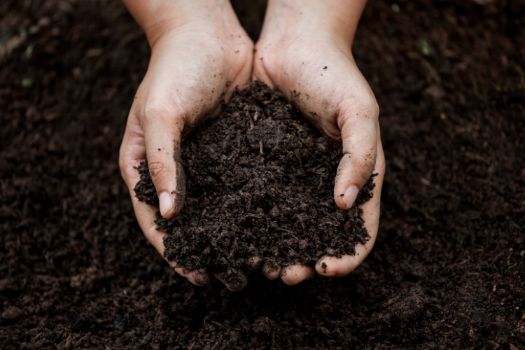 Garden soil